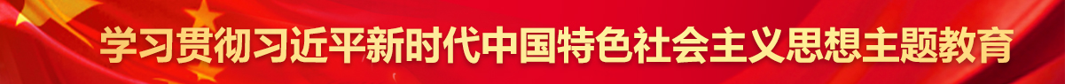 學習貫徹習近平新時代中國特色社會主義思想主題教育